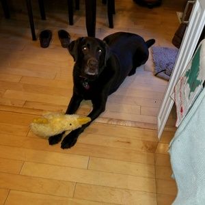 Meet your Posher, Mary